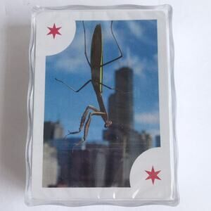 Playing Cards Chicago Scenes Themed NIB